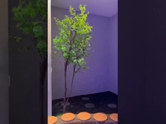 Painel de luz solar artificial LED CRI 95 para Ø600*H380mm Iluminação natural e brilhante