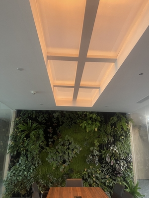 comprar Rectangle Faux Skylight Panels 220mm Highness Customizable Solutions Fabricação em linha
