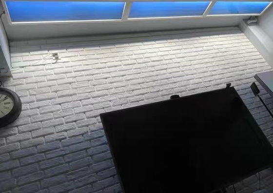 Flat Panel Night Light Altitude 295mm Projetado para caber em várias instalações de teto e parede