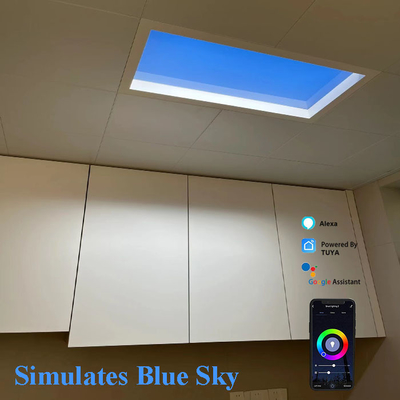 Lâmpadas LED 2100-7000K 3.6A Potência 110V-220VAC Para áreas comerciais espaçosas