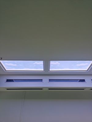 Intensidade 240W Luz branca Luz artificial LED clarabóia ampla cobertura AC110-230V fonte de alimentação