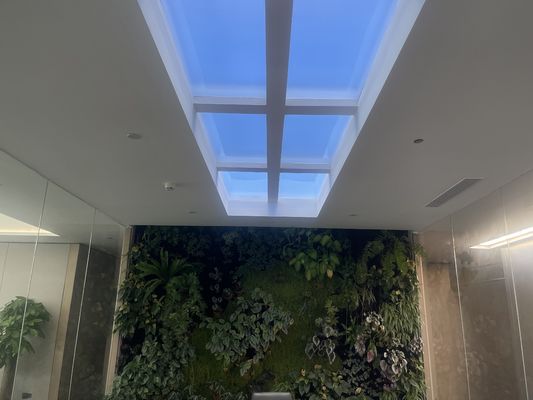 Luz Branca Cor Embutida Claraboia LED Artificial 12kg Método de Instalação Embutida para Comercial
