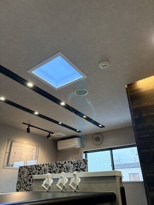 Fornecimento de energia AC100-240V Luzes LED brilhantes para o exterior A solução de iluminação definitiva para qualquer espaço exterior